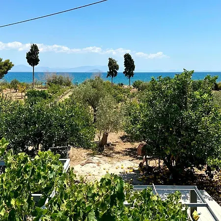 Astros Peloponnese With A Fireplace 09 * Koutroufa