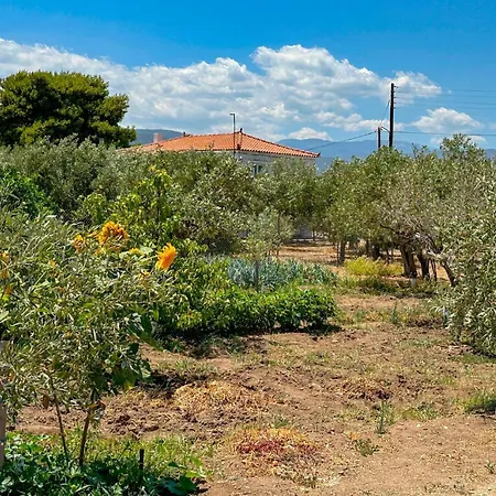 Astros Peloponnese With A Fireplace 09 * Kútrufa
