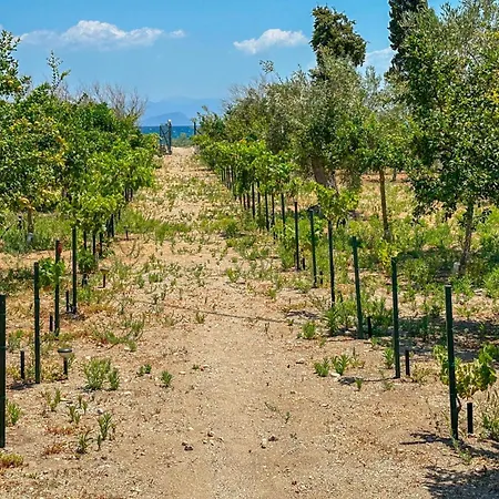 Astros Peloponnese With A Fireplace 09 Nyaraló