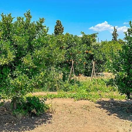 Astros Peloponnese With A Fireplace 09 Сasa de vacaciones Koutroufa