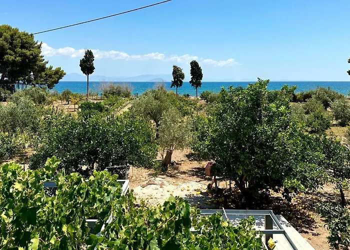 Astros Peloponnese With A Fireplace 09 * Koutroufa