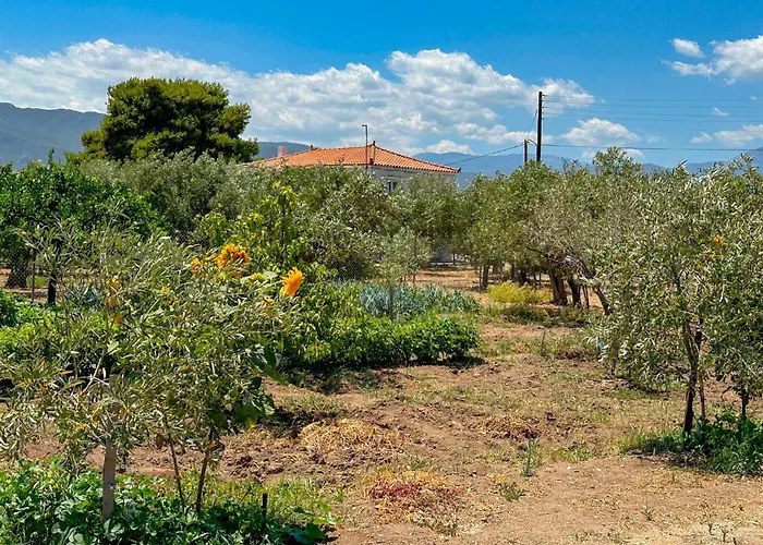 Astros Peloponnese With A Fireplace 09 * Koutroufa