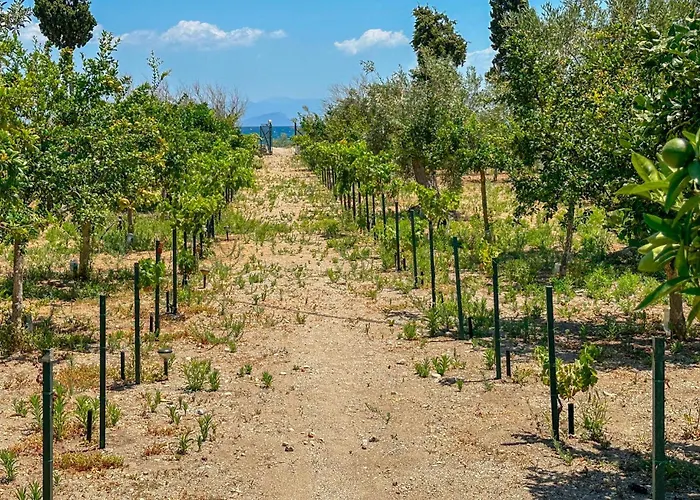Astros Peloponnese With A Fireplace 09 Casa de Férias